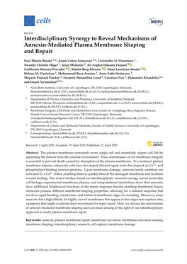 Interdisciplinary Synergy to Reveal Mechanisms of Annexin-Mediated Plasma Membrane Shaping and Repair