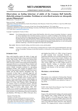 Observations on Feeding Behaviour of Adults of the Common Buff