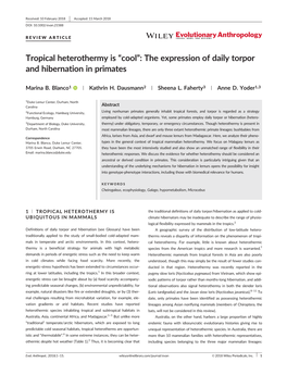 The Expression of Daily Torpor and Hibernation in Primates. Evol