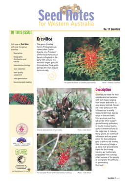 Grevillea in THIS ISSUE Dgrevillea This Issue of Seed Notes the Genus Grevillea Will Cover the Genus (Family Proteaceae) Was Grevillea