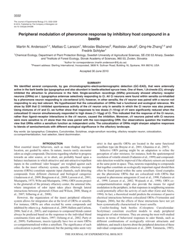 Peripheral Modulation of Pheromone Response by Inhibitory Host Compound in a Beetle