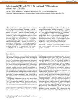 Inhibitors of COPI and COPII Do Not Block PEX3-Mediated Peroxisome Synthesis Sarah T