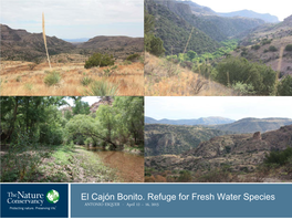 El Cajón Bonito. Refuge for Fresh Water Species ANTONIO ESQUER - April 12 – 16, 2015 OBJECTIVE