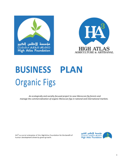 BUSINESS PLAN Organic Figs