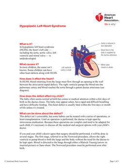 Hypoplastic Left Heart Syndrome