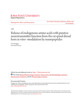 Release of Endogenous Amino Acids with Putative Neurotransmitter Function from the Rat Spinal Dorsal Horn in Vitro