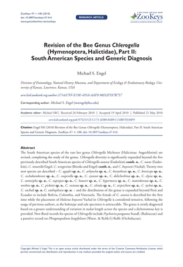 Revision of the Bee Genus Chlerogella (Hymenoptera, Halictidae), Part II: South American Species and Generic Diagnosis