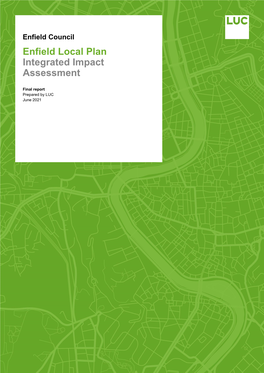 Integrated Impact Assessment