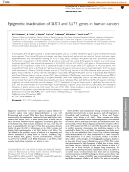 Epigenetic Inactivation of SLIT3 and SLIT1 Genes in Human Cancers