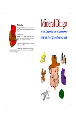 Bingo Booklet