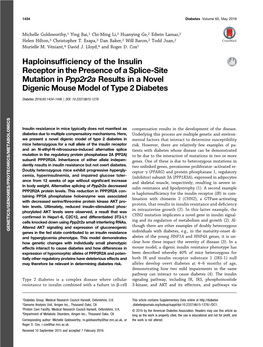 Haploinsufficiency of the Insulin Receptor in the Presence of A