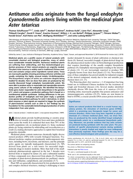 Antitumor Astins Originate from the Fungal Endophyte Cyanodermella Asteris Living Within the Medicinal Plant Aster Tataricus