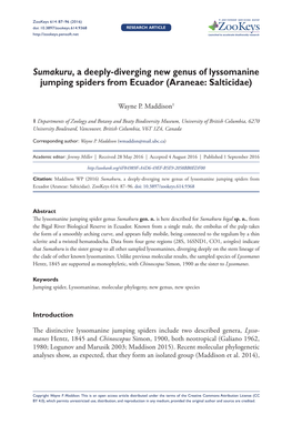 ﻿Sumakuru, a Deeply-Diverging New Genus of Lyssomanine Jumping