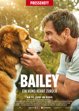 Bailey Ein Hund Kehrt Zurück