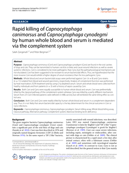 Rapid Killing of Capnocytophaga Canimorsus and Capnocytophaga Cynodegmi by Human Whole Blood and Serum Is Mediated Via the Compl