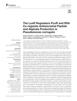 The Luxr Regulators Pcor and Rfia Co-Regulate Antimicrobial Peptide