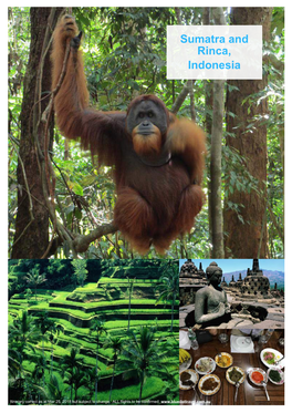Sumatra and Rinca, Indonesia