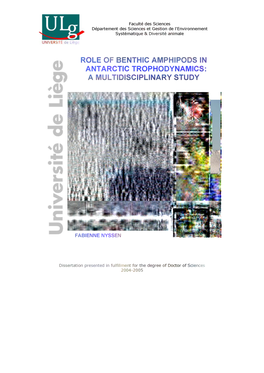 Role of Benthic Amphipods in Antarctic Trophodynamics: a Multidisciplinary Study