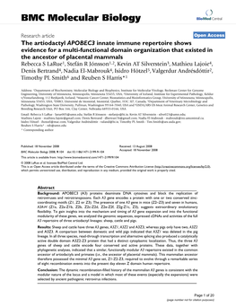 The Artiodactyl APOBEC3 Innate Immune Repertoire Shows Evidence