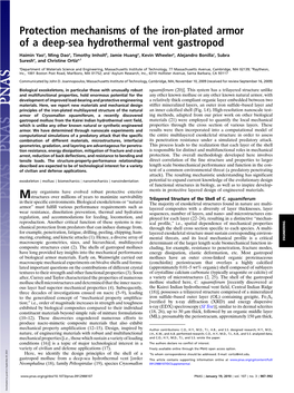 Protection Mechanisms of the Iron-Plated Armor of a Deep-Sea Hydrothermal Vent Gastropod