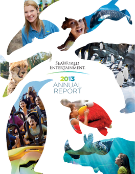 2013 ANNUAL REPORT Who We Are