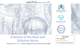 Anatomy of the Nose and Olfactory Nerve