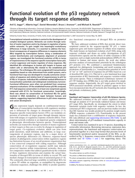 Functional Evolution of the P53 Regulatory Network Through Its Target Response Elements