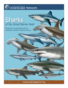 Sharks of the Great Barrier Reef