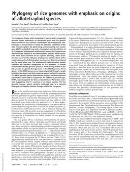 Phylogeny of Rice Genomes with Emphasis on Origins of Allotetraploid Species