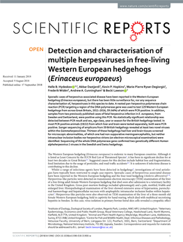 Detection and Characterisation of Multiple Herpesviruses in Free-Living Western European Hedgehogs