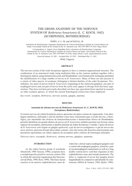 THE GROSS ANATOMY of the NERVOUS SYSTEM of Bothriurus Bonariensis (L