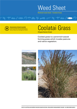 Weed Sheet Ntact Us Coolatai Grass