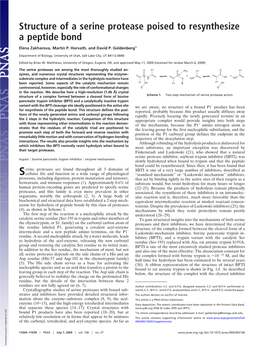 Structure of a Serine Protease Poised to Resynthesize a Peptide Bond