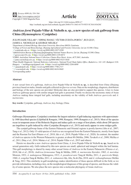 Andricus Forni Pujade-Villar & Nicholls N. Sp., a New Species of Oak