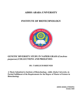 Addis Ababa University Institute of Biotechnology