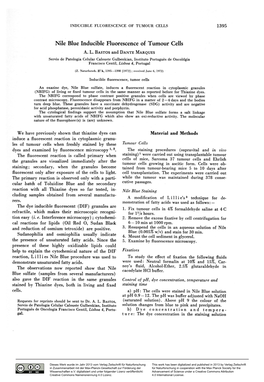 Nile Blue Inducible Fluorescence of Tumour Cells