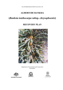 (Banksia Ionthocarpa Subsp. Chrysophoenix) RECOVERY PLAN