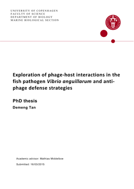 Exploration of Phage-Host Interactions in the Fish Pathogen Vibrio