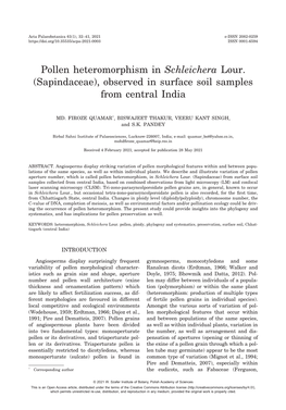 Pollen Heteromorphism in Schleichera Lour. (Sapindaceae), Observed in Surface Soil Samples from Central India