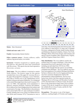 Moxostoma Carinatum Cope Riverriver Redhorse Redhorse, Page 1