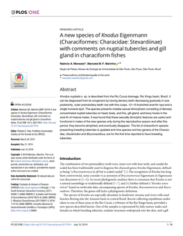 A New Species of Knodus Eigenmann (Characiformes: Characidae: Stevardiinae) with Comments on Nuptial Tubercles and Gill Gland in Characiform Fishes