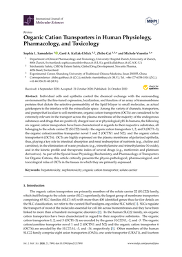 Organic Cation Transporters in Human Physiology, Pharmacology, and Toxicology