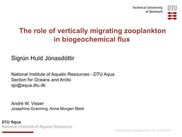 The Role of Vertically Migrating Zooplankton in Biogeochemical Flux