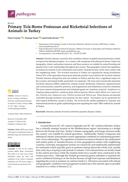 Primary Tick-Borne Protozoan and Rickettsial Infections of Animals in Turkey