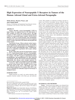 High Expression of Neuropeptide Y Receptors in Tumors of the Human Adrenal Gland and Extra-Adrenal Paraganglia