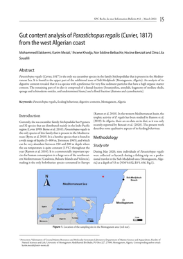 Gut Content Analysis of Parastichopus Regalis (Cuvier, 1817) from the West Algerian Coast