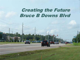 Creating the Future Bruce B Downs Blvd How Things Look Today…