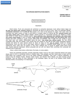 PRISTIOPHORIDAE Sawsharks Small Sharks. Trunk