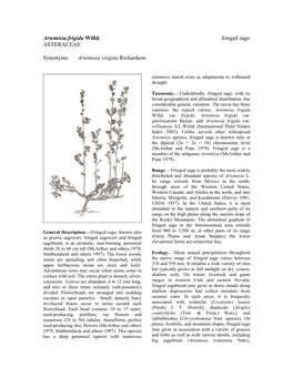 Artemisia Frigida Willd. Fringed Sage ASTERACEAE