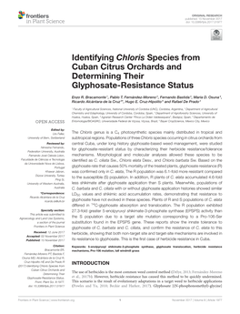 Identifying Chloris Species from Cuban Citrus Orchards and Determining Their Glyphosate-Resistance Status